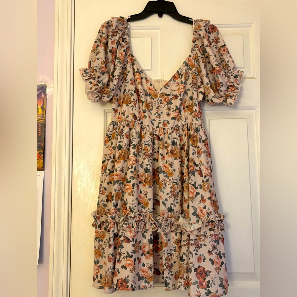 Altar’d State Alexandria Ruffle Floral Mini Dress (Size L)